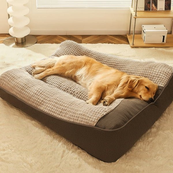 Grand Lit pour Chien Résistant aux Rayures avec Support Orthopédique pour la Colonne Vertébrale