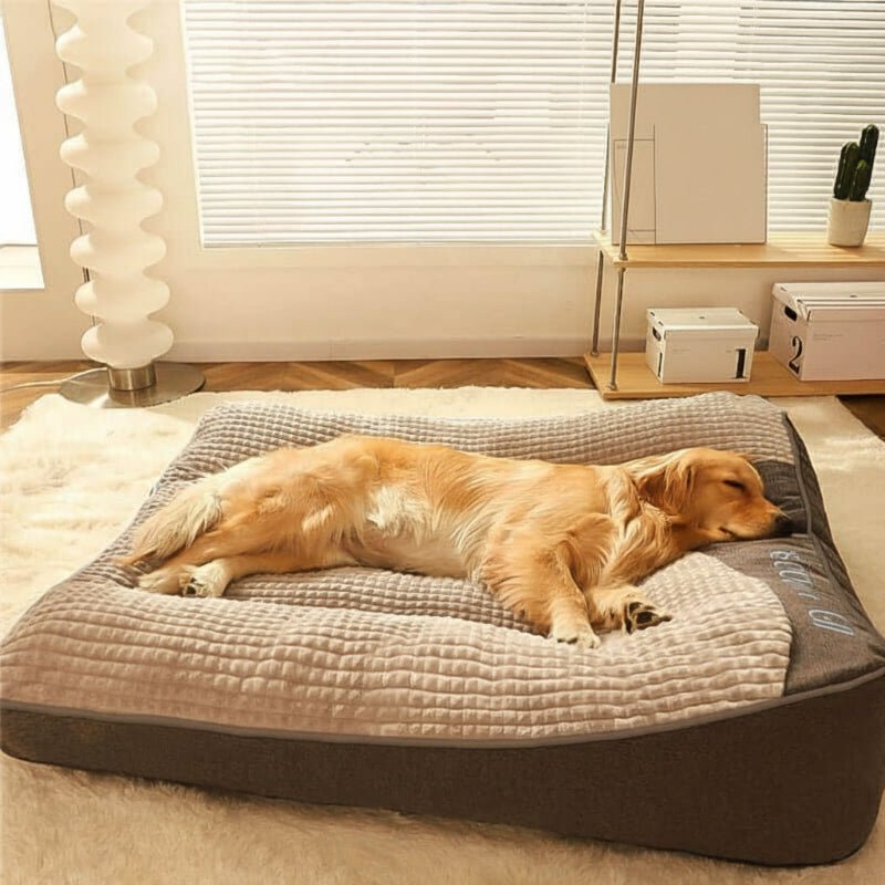 Grand Lit pour Chien Résistant aux Rayures avec Support Orthopédique pour la Colonne Vertébrale