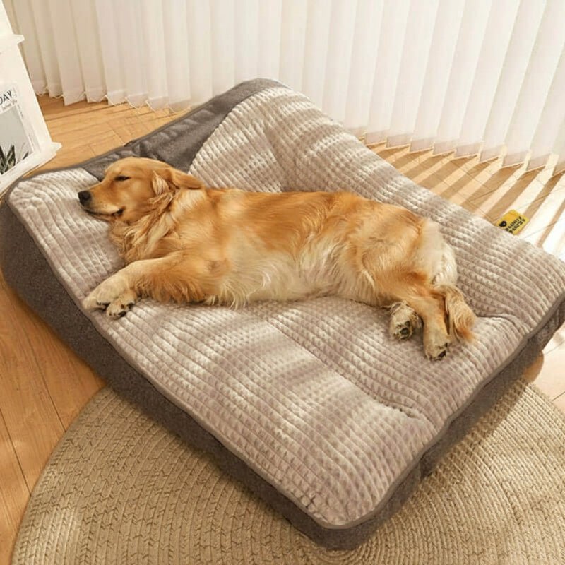 Grand Lit pour Chien Résistant aux Rayures avec Support Orthopédique pour la Colonne Vertébrale