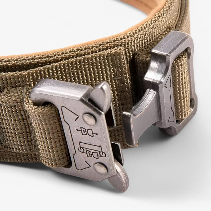 Collier pour Chien Réglable et Durable – Idéal pour l'Entraînement et l'Utilisation Quotidienne