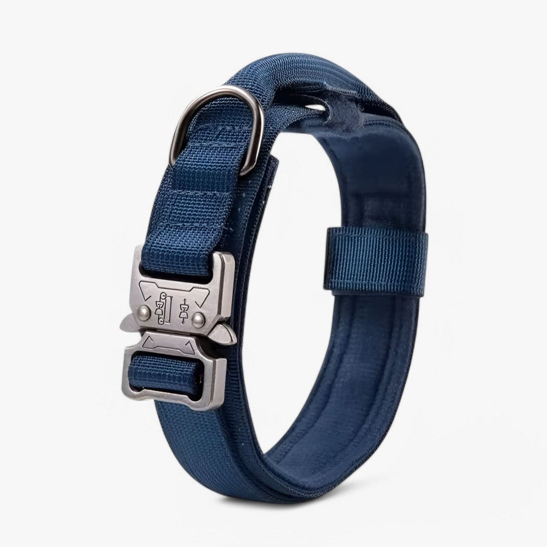 Collier pour Chien Réglable et Durable – Idéal pour l'Entraînement et l'Utilisation Quotidienne