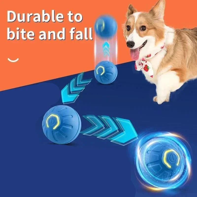 Balle Interactive Rechargeable pour Chien