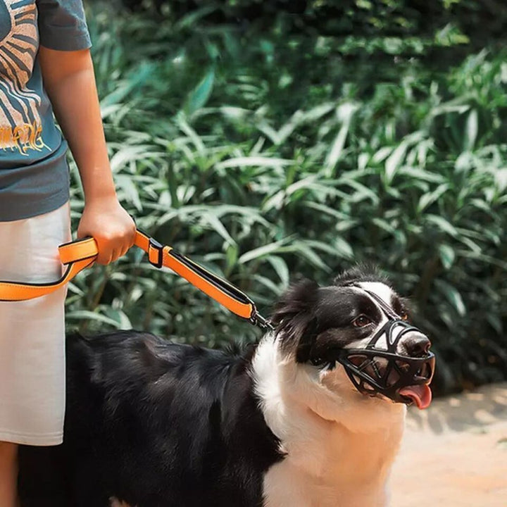 Muzzle Doux pour Chien pour Situations Quotidiennes en Toute Sécurité