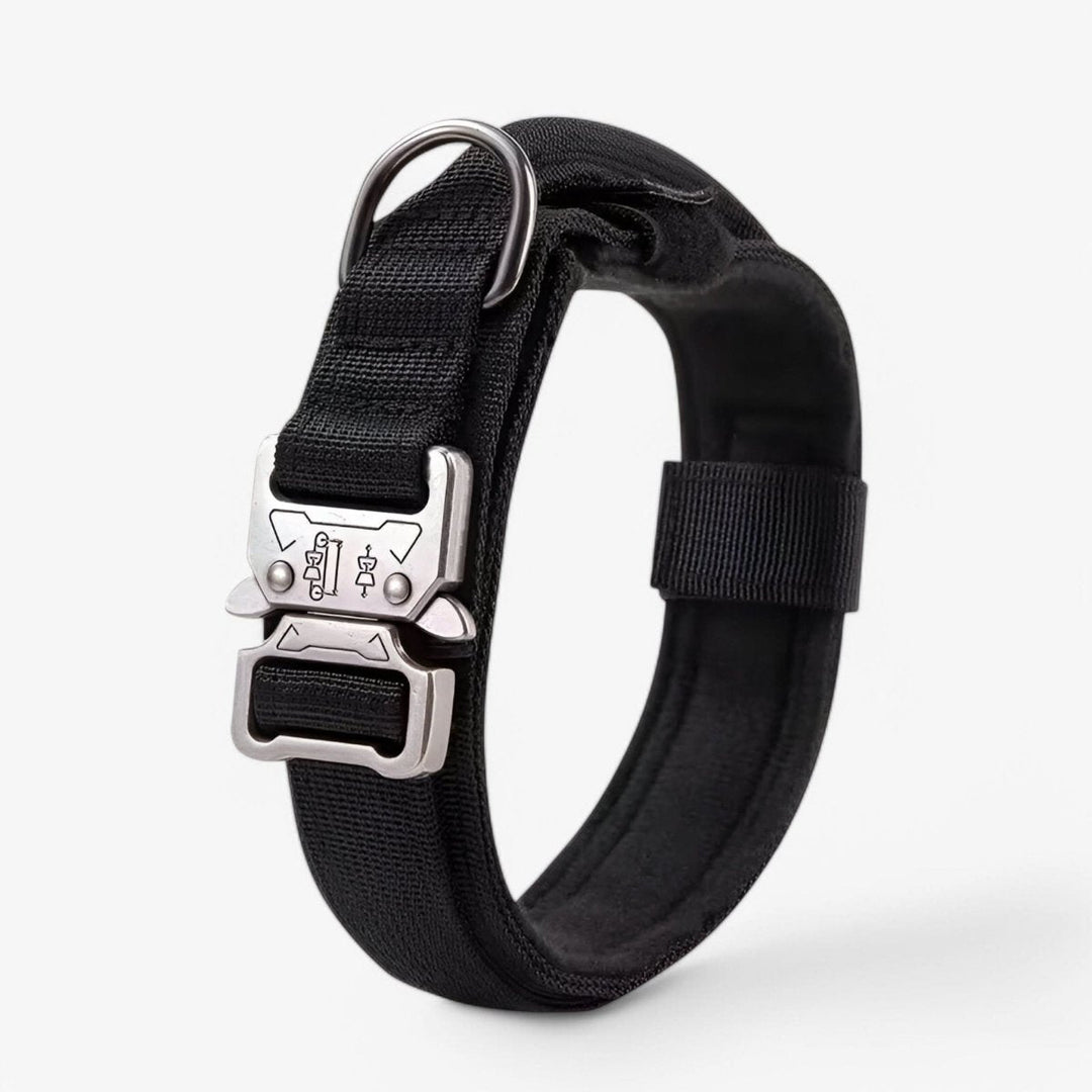 Collier pour Chien Réglable et Durable – Idéal pour l'Entraînement et l'Utilisation Quotidienne