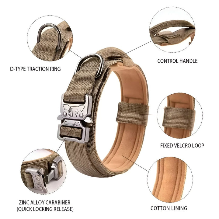Collier pour Chien Réglable et Durable – Idéal pour l'Entraînement et l'Utilisation Quotidienne