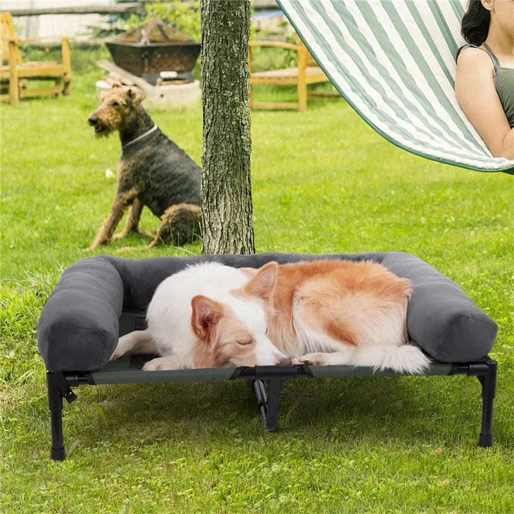 Lit surélevé pour chien pour jardin et usage extérieur