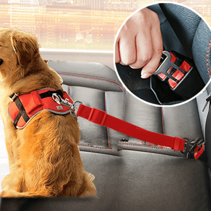 Ceinture de Sécurité Ajustable pour Chiens dans la Voiture