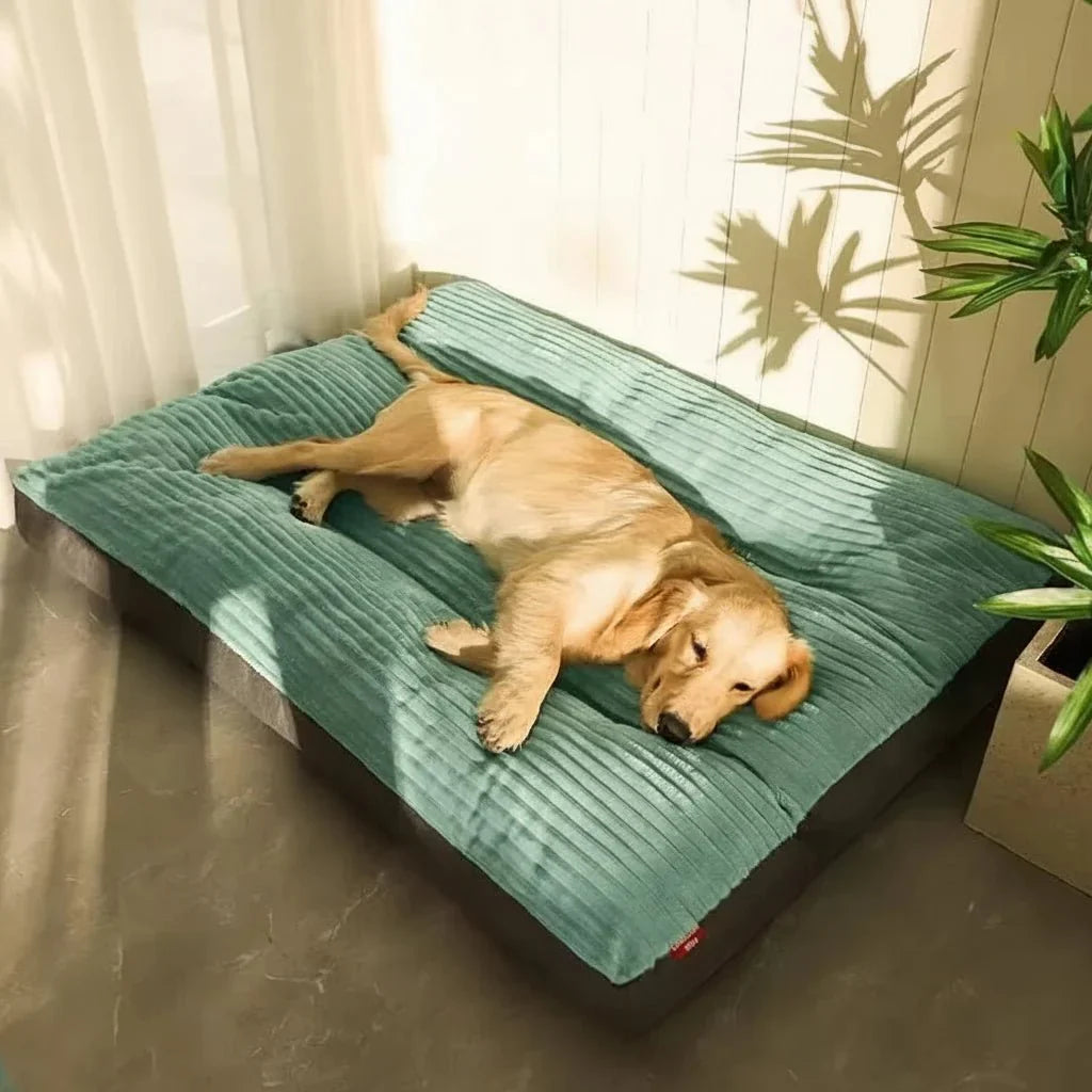 Lit Confort Douillet pour Chiens