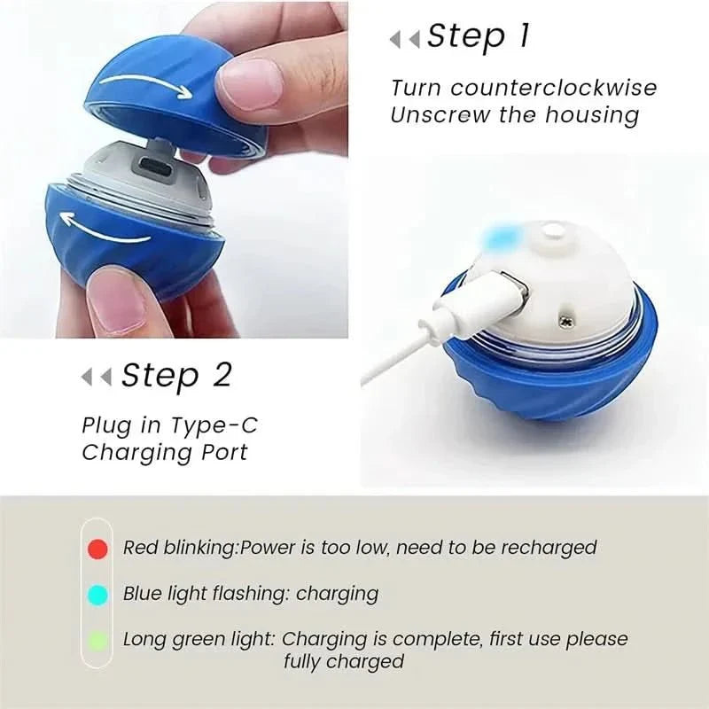 Balle Interactive Rechargeable pour Chien