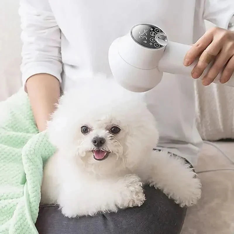 Sèche-Cheveux Doux – Séchage Doux et Brossage pour une Expérience de Toilettage Relaxante