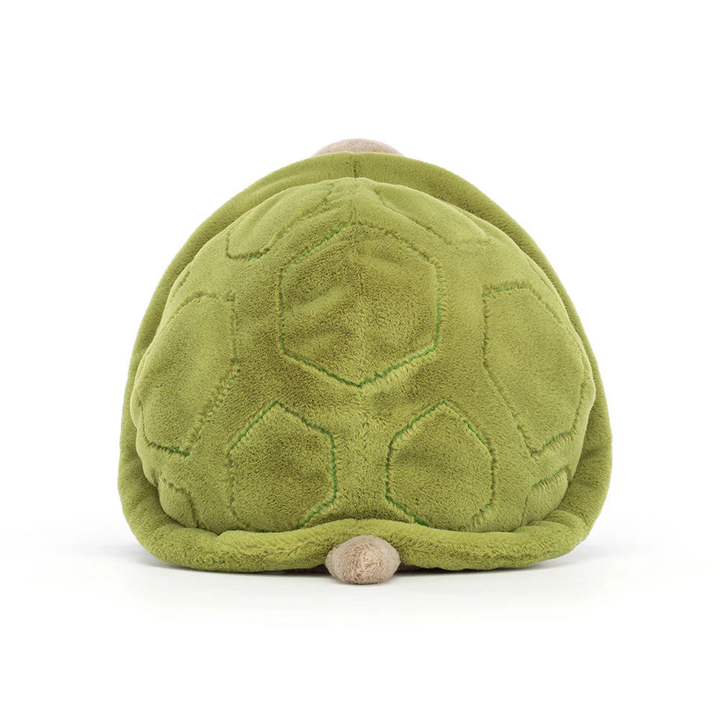 Timmy Tortue