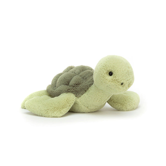 Tully Tortue