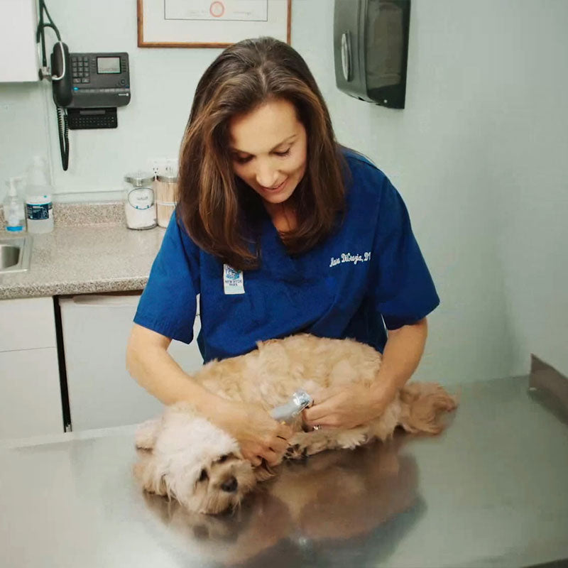 Ciseaux à Ongles Intelligents avec Capteurs Rapides pour Animaux