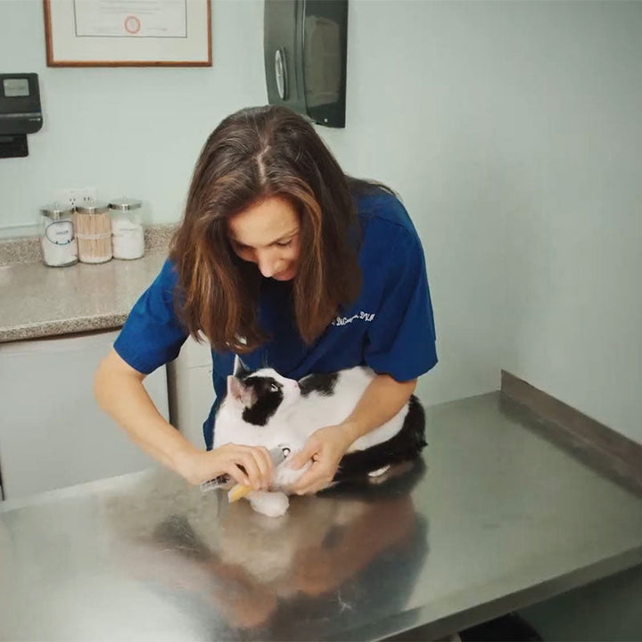 Ciseaux à Ongles Intelligents avec Capteurs Rapides pour Animaux