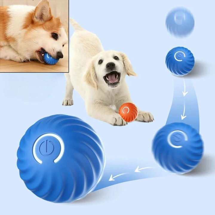 Balle de jeu intelligente avec mouvement automatique pour chiens actifs