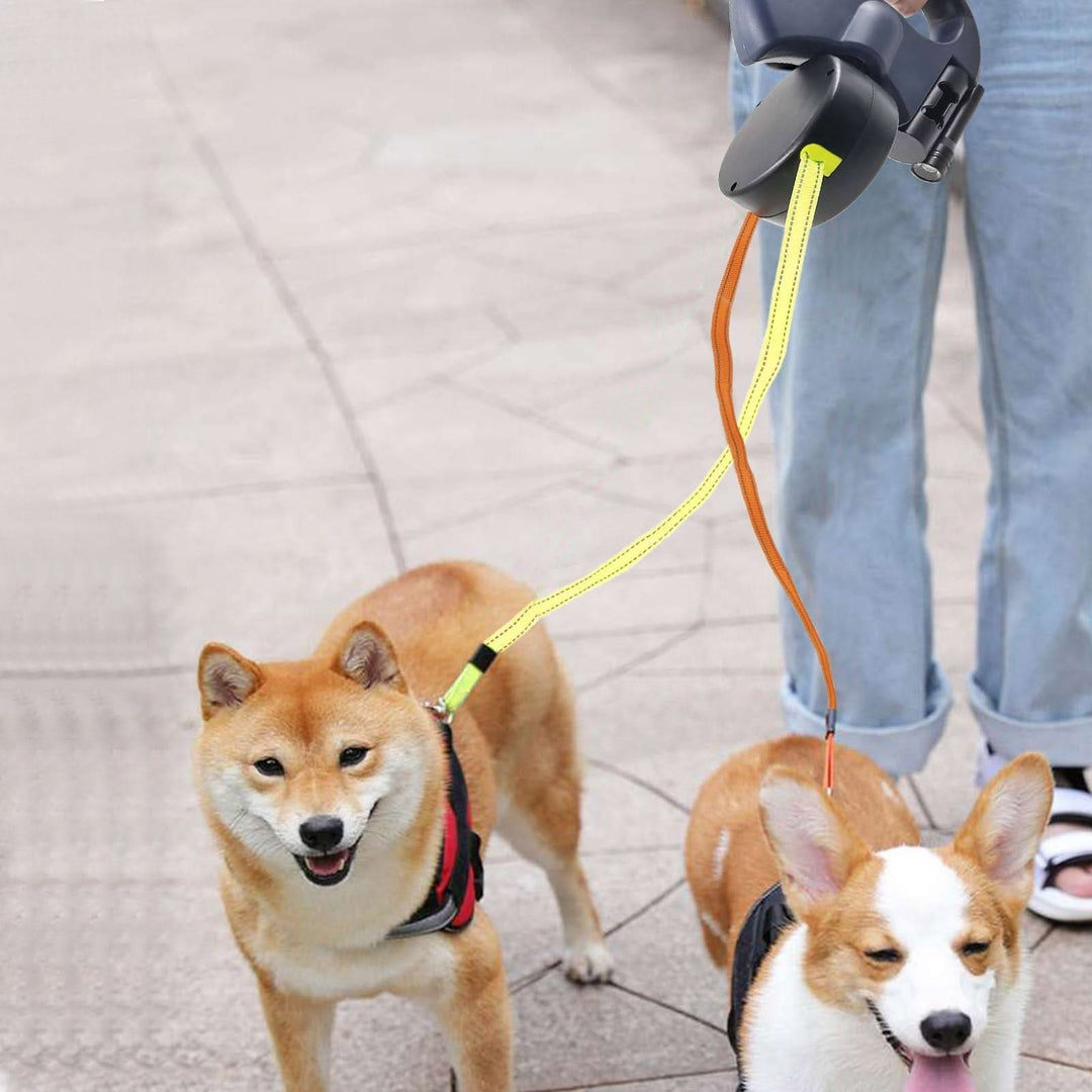 Laisse Rétractable pour Deux Chiens avec Lampe de Poche Intégrée
