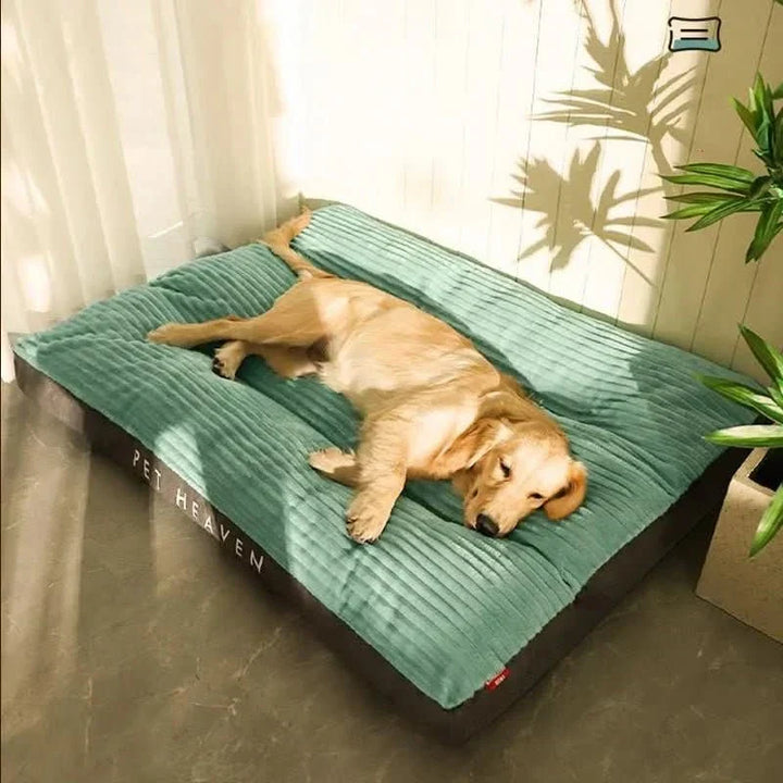 Lit Orthopédique pour Chien – Confortable et Soutenant pour des Nuits Reposantes