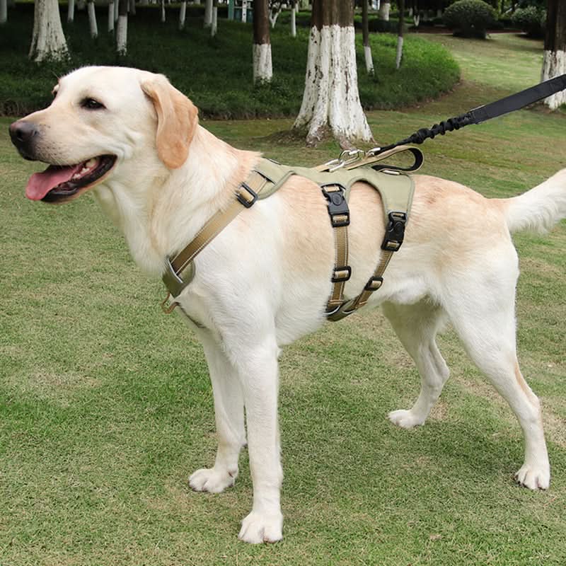 Harnais Anti-Tirage Confortable pour Chien avec Poignée Améliorée et Caractéristiques de Sécurité