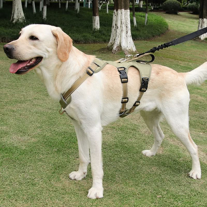 Harnais Anti-Tirage Confortable pour Chien avec Poignée Améliorée et Caractéristiques de Sécurité