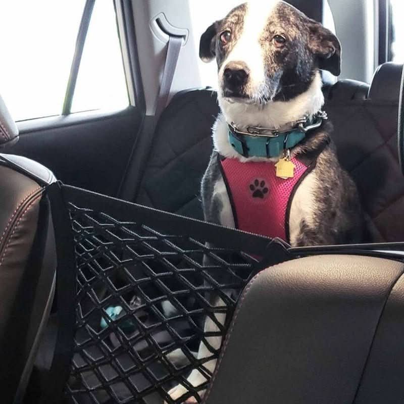 Filet de sécurité pour chiens en voiture avec solution de rangement pratique