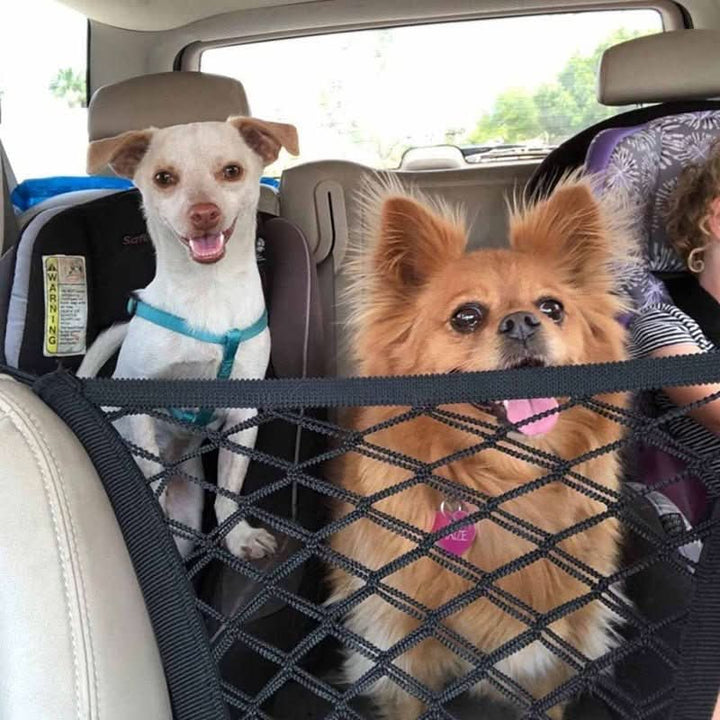 Filet de sécurité pour chiens en voiture avec solution de rangement pratique