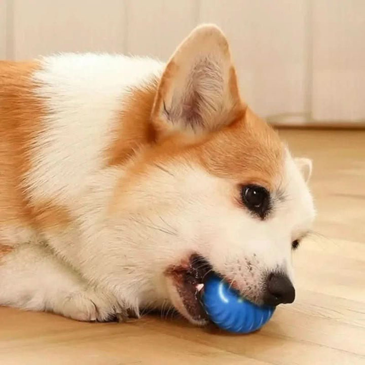 Balle de jeu intelligente avec mouvement automatique pour chiens actifs