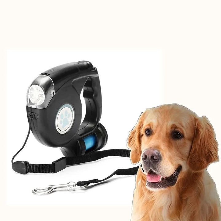 Laisse de Chien LED avec Lampe Torche Intégrée pour des Promenades Sûres