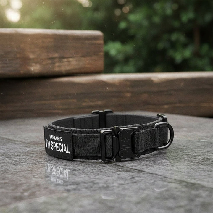 Collier pour Chien Réglable et Durable – Idéal pour l'Entraînement et l'Utilisation Quotidienne