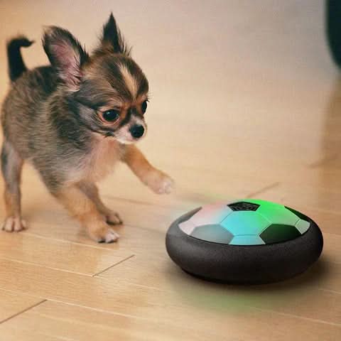 Balle de Jeu Interactive pour Chiens avec Mouvements Imprévisibles