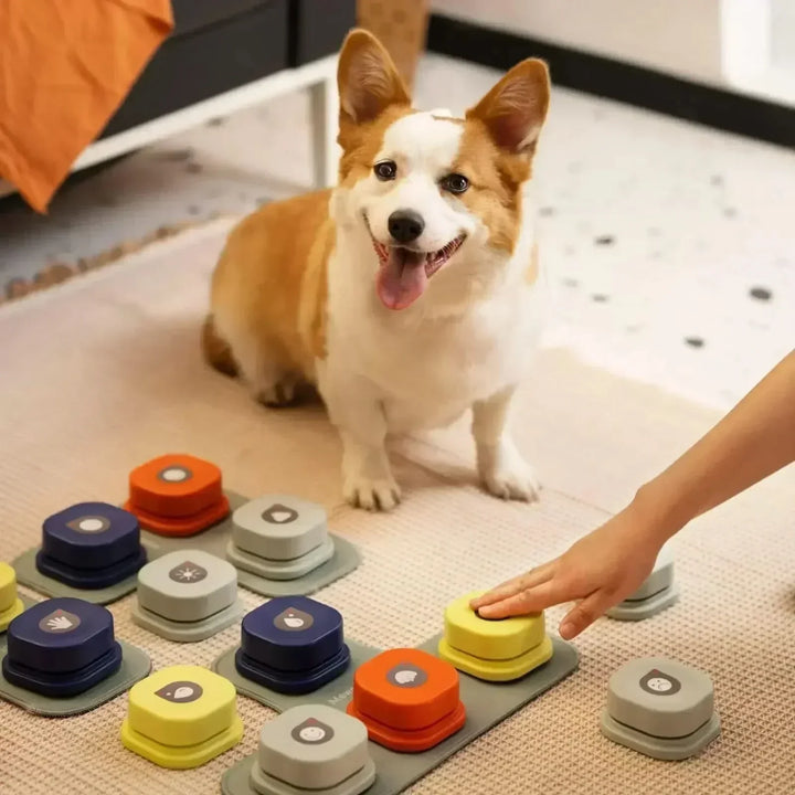Boutons de Parole Interactifs pour une Communication Ludique avec les Chiens