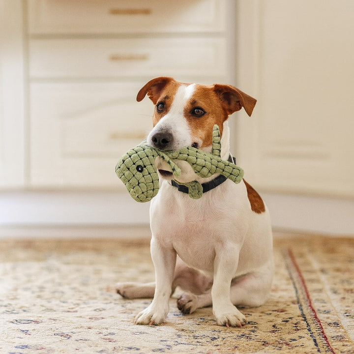 Jouet à Mâcher Indestructible pour Chien