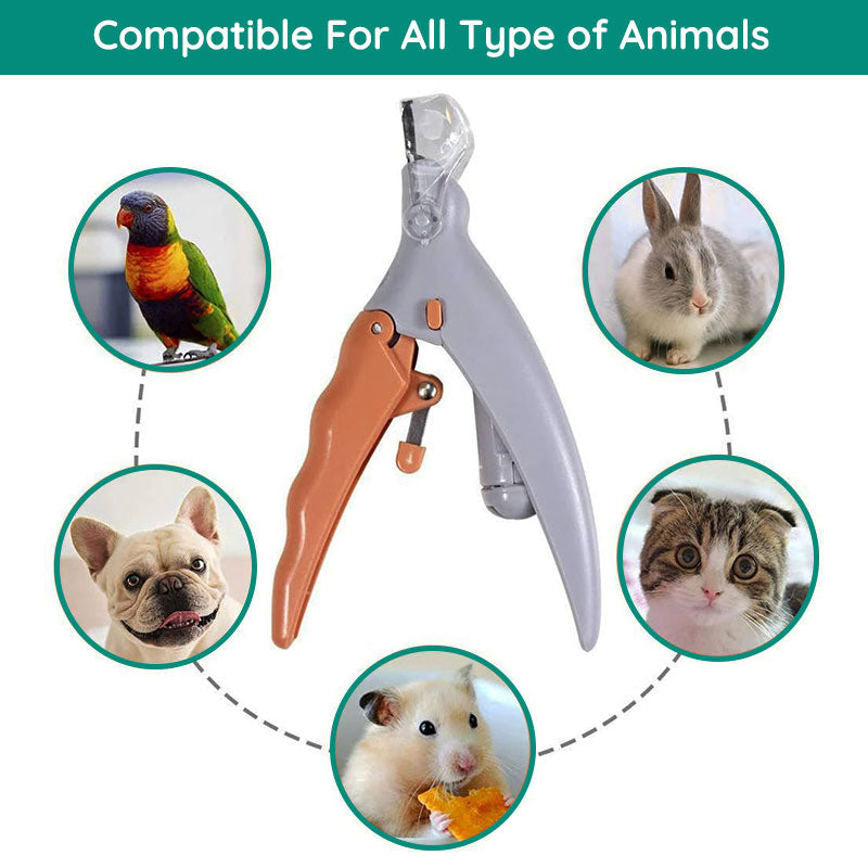 Ciseaux à Ongles Intelligents avec Capteurs Rapides pour Animaux