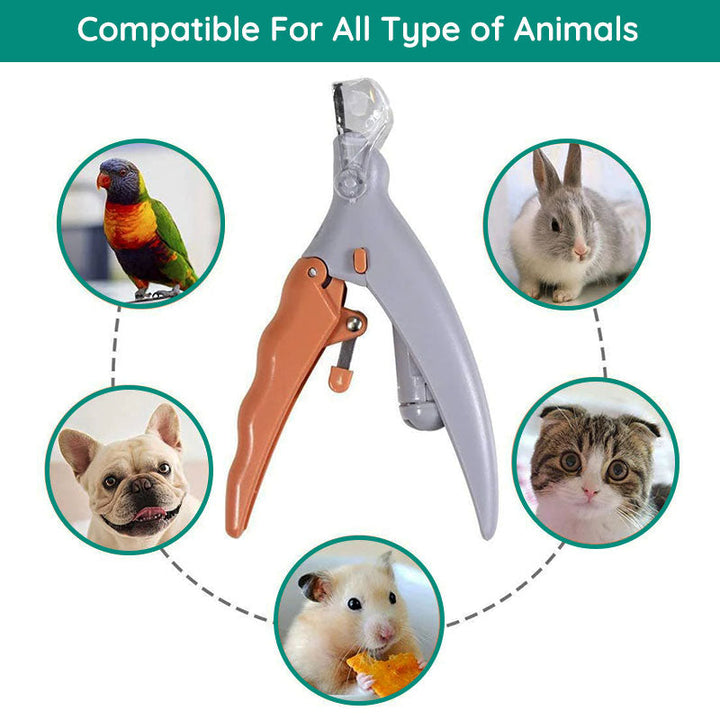 Ciseaux à Ongles Intelligents avec Capteurs Rapides pour Animaux