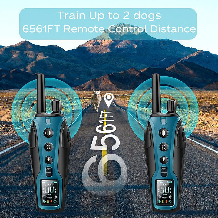 Collier de Dressage à Distance Avancé pour Chien avec Portée de 2000 Mètres