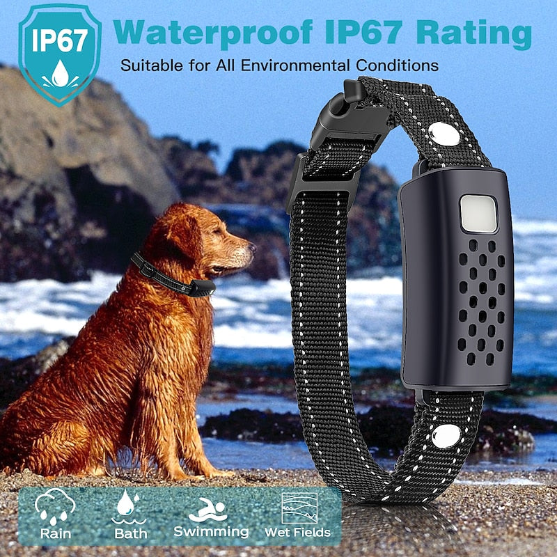 Collier de Dressage à Distance Avancé pour Chien avec Portée de 2000 Mètres