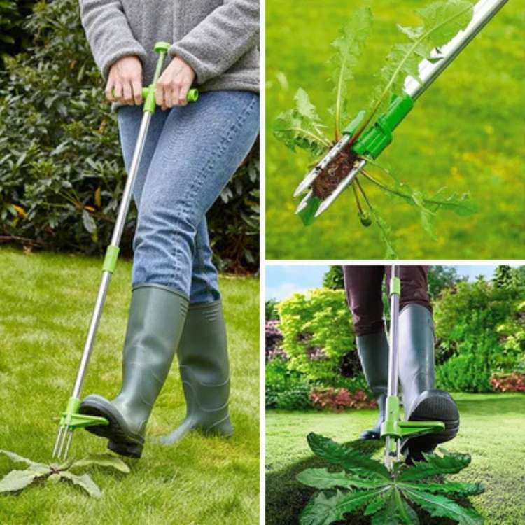 Outil de Désherbage de Jardin