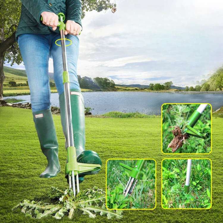 Outil de Désherbage de Jardin