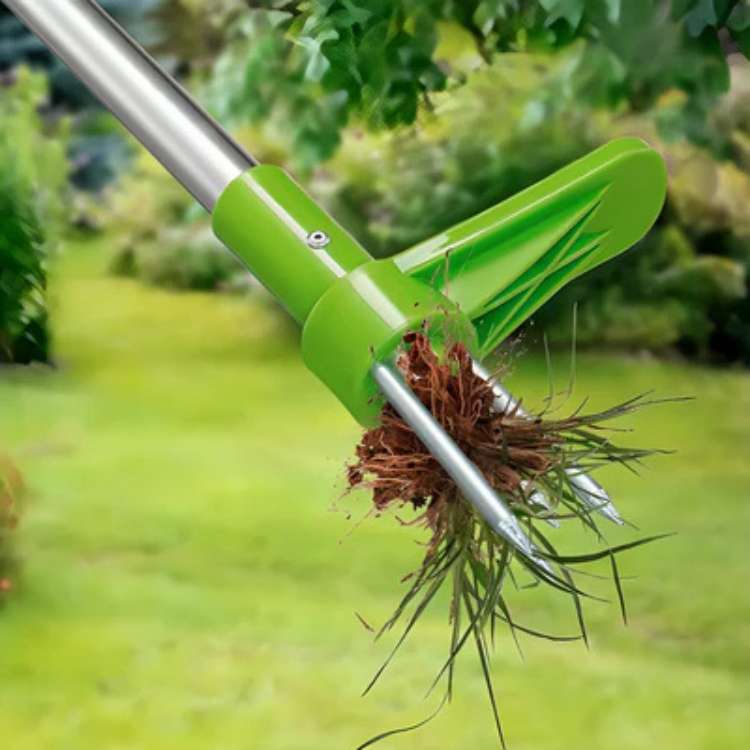 Outil de Désherbage de Jardin