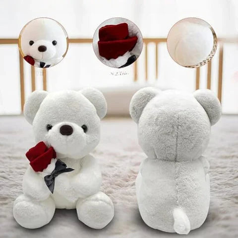 Teddy Bear d'Amour avec Rose